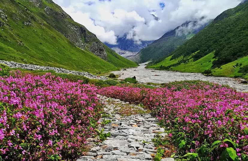 Valley of Flowers Trek