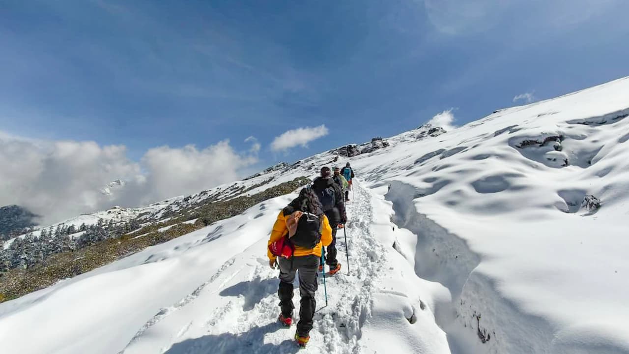 Pangarchulla Peak Trek — compare operators and pricing